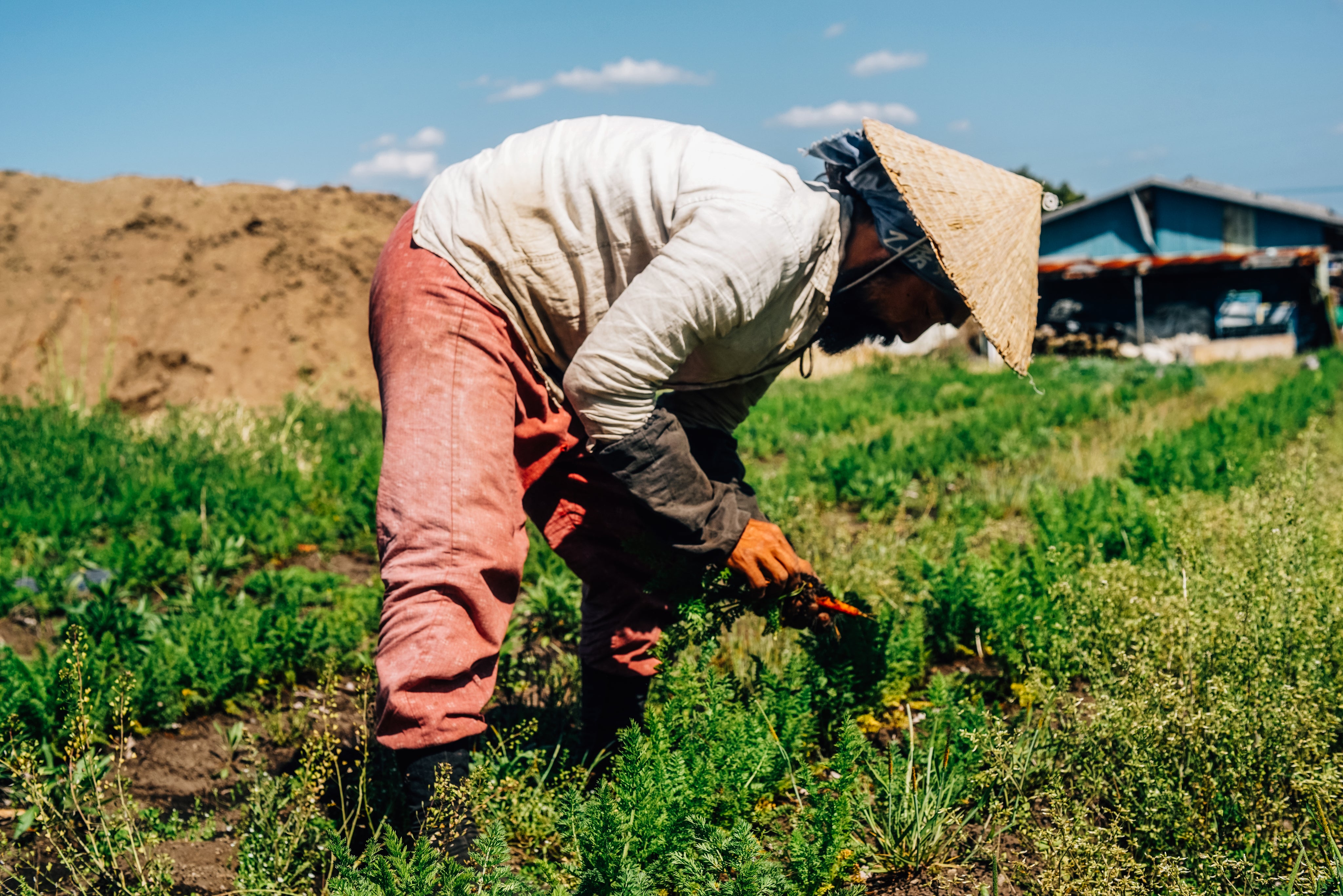 files/farmer-leaning-and-tending-to-crops.jpg